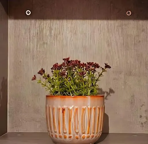 Ruby Heaven Apartament St. Paul's Bay